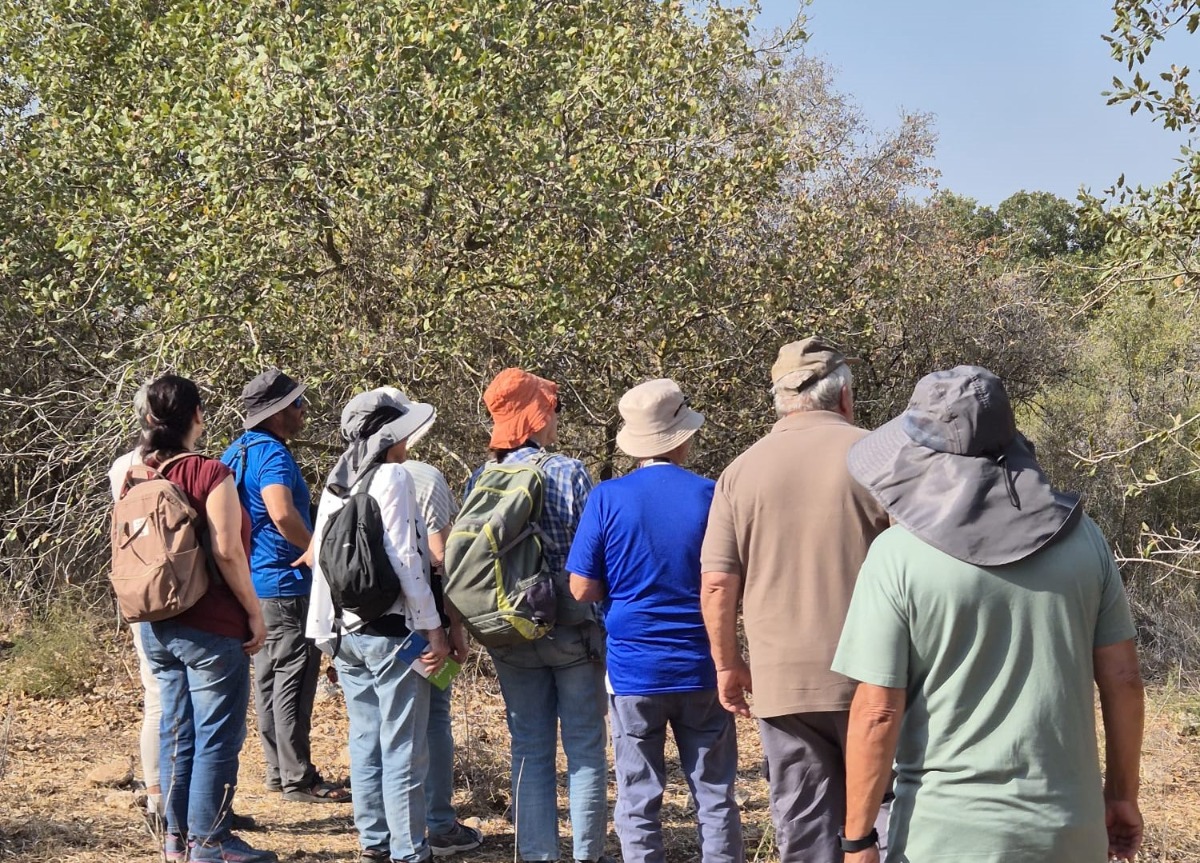 קורס צפרות קשובה , נובמבר 2025